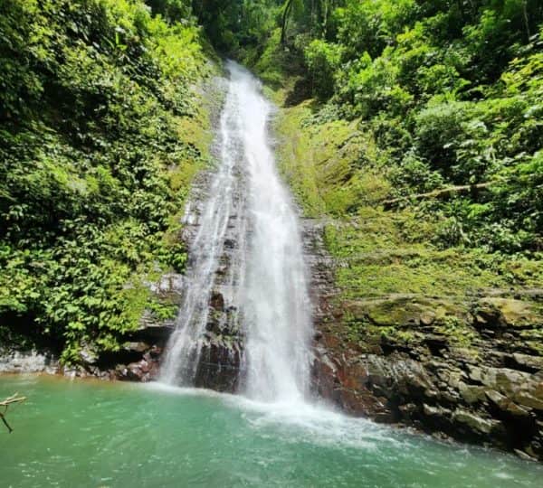 Wildlife and nature at Santa Lucía Falls